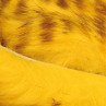 Rabbit Strips Olive Barred Magnum gelb zum Fliegenbinden unter Fliegenbindematerial bei FFE