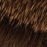 Compara Dun Hair natur zum Fliegenbinden unter Fliegenbindematerial bei FFE