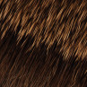 Compara Dun Hair natur zum Fliegenbinden unter Fliegenbindematerial bei FFE