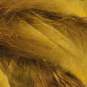 Rabbit Strips Standard gold variant zum Fliegenbinden unter Fliegenbindematerial bei FFE