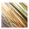 Stripped Quills Fulling Mill Farben