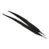 Jagdfasan Stossfeder Hahn gefaerbt black
