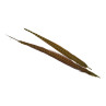Jagdfasan Stossfeder Hahn gefaerbt medium olive