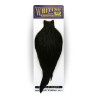 Whiting American Rooster Cape black