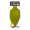 Whiting American Rooster Cape olive