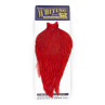 Whiting American Rooster Cape red