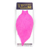 Whiting American Rooster Cape pink