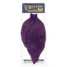 Whiting American Rooster Cape purple
