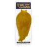 Whiting American Rooster Cape golden olive