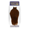 Whiting American Rooster Cape coachman brown