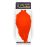 Whiting American Rooster Cape orange