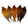 Whiting Heritage Hackle Cape Farbschema brown variant