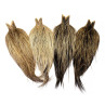 Whiting Heritage Hackle Cape Farbschema badger variant