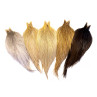 Whiting Heritage Hackle Cape Farbschema dun variant