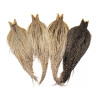 Whiting Heritage Hackle Cape Farbschema grizzly variant