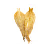 Whiting Heritage Hackle Cape Farbschema ginger variant