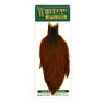 Whiting Hebert Miner Hen Cape brown