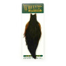 Whiting Hebert Miner Hen Cape black