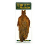 Whiting Hebert Miner Hen Cape barred dark ginger