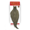 Whiting Rooster Cape grizzly