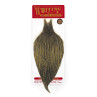 Whiting Rooster Cape grizzly olive