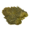 Whiting Rooster SH/C Softhackle Cape grizzly olive