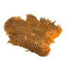 Whiting Rooster SH/C Softhackle Cape grizzly shrimp orange