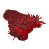 Whiting Rooster SH/C Softhackle Cape grizzly red
