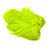 Whiting Rooster SH/C Softhackle Cape fluo green chartreuse