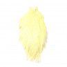 Whiting Spey Hackle Cape weiss