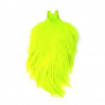 Whiting Spey Hackle Cape chartreuse