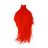 Whiting Spey Hackle Cape orange