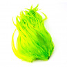 Whiting Bugger Pack Federn fluo green chartreuse