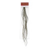 Whiting 100 Hackle Hechel-Federn dun grizzly