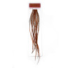 Whiting 100 Hackle Hechel-Federn grizzly burnt orange