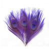 Pfau Augenfeder Hahn Peacock Eye Top purple