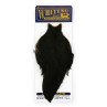 Whiting American Hen Cape black