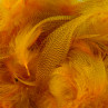 Stockente Federn hot orange