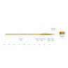 Scientific Anglers Amplitude Smooth Trout Strategic 8.5 Fliegenschnur Taper