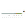 Mastery Volantis Integrated Fliegenschnur Full Intermediate Scientific Anglers