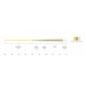 Scientific Anglers Smooth Trout GP WF-Fliegenschnur Taper