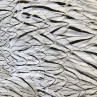 Silberfasan Bindematerial
