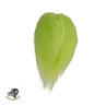 Pike Monkey Streamer Hair chartreuse