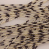 Round Rubber Legs medium gebändert natural zum Fliegenbinden unter Fliegenbindematerial bei Flyfishing Europe
