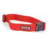 Simms Wading Belt Watgürtel 2 inch Simms orange