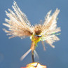 CDC Puffs Federn Feathers Fliege Trockenfliege CDC Wing