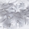 CDC Puffs Federn Feathers lt. dun