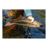 Fishpond Nomad Middle Fork Net - fuer die Landung kapitaler Fische