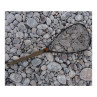 Fishpond Nomad Middle Fork Net Brown Trout BT 2.0 mit Schonnetz