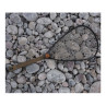 Fishpond Nomad Canyon Net Brown Trout BT 2.0 Watkescher mit Schonnetz